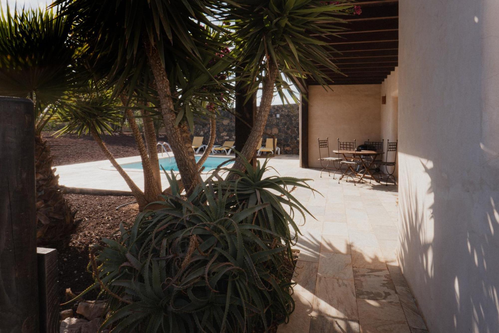 Villa Upupa ลาโอลีวา ภายนอก รูปภาพ