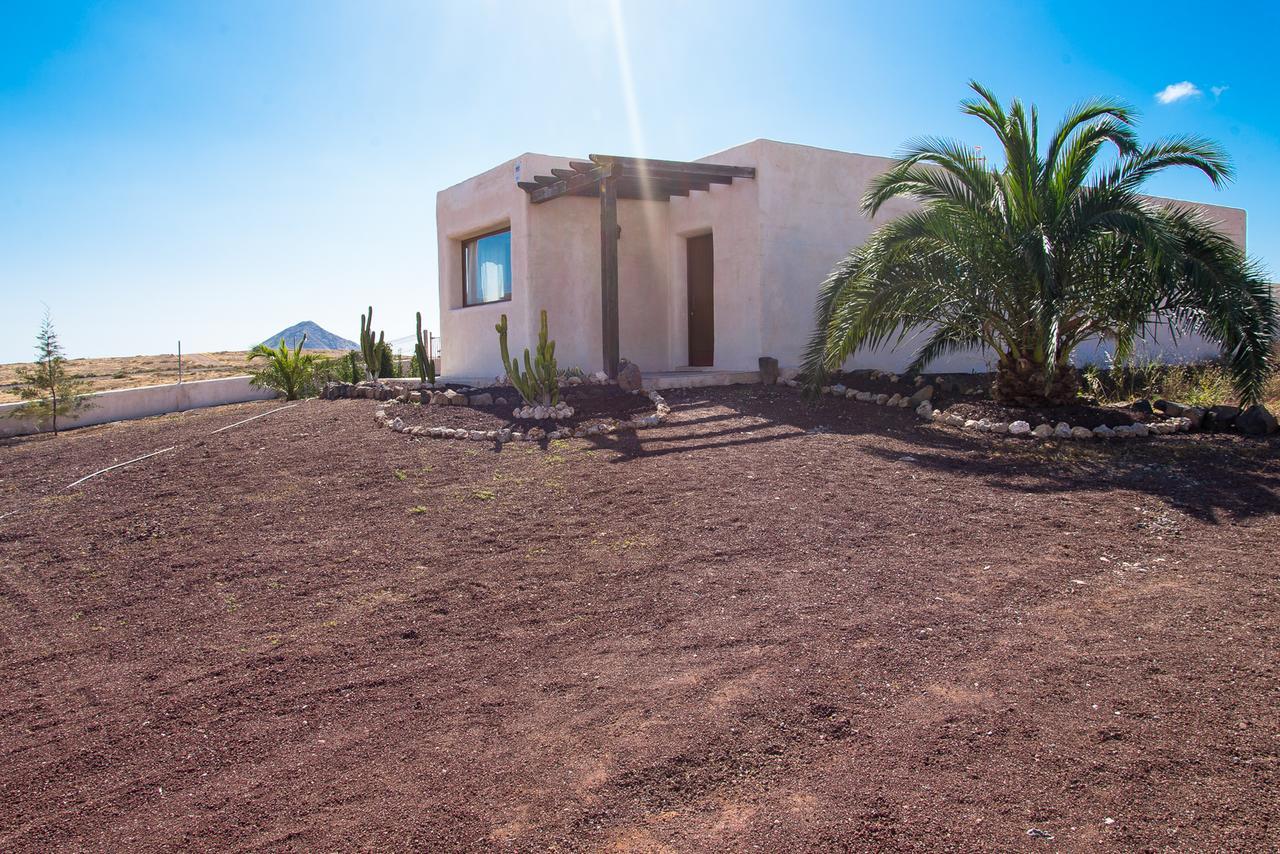 Villa Upupa ลาโอลีวา ภายนอก รูปภาพ