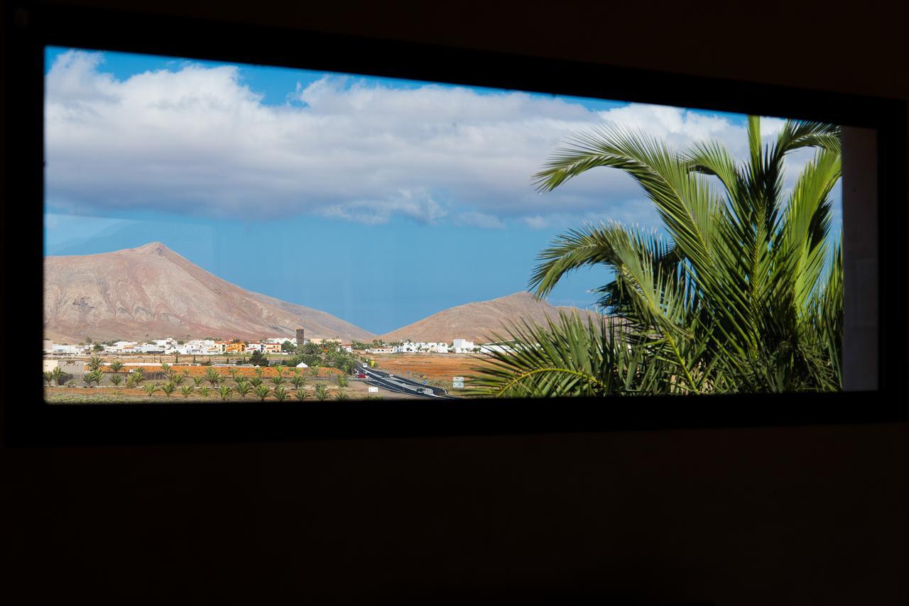 Villa Upupa ลาโอลีวา ภายนอก รูปภาพ