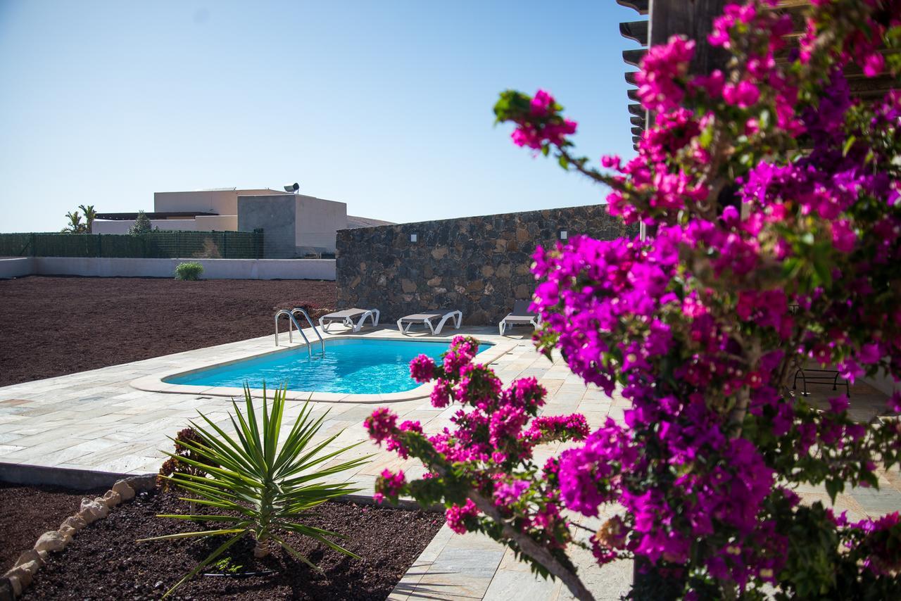 Villa Upupa ลาโอลีวา ภายนอก รูปภาพ